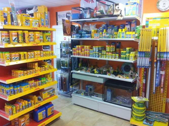 Fidus Mascotas Y Peluqueria Canina en Cantabria