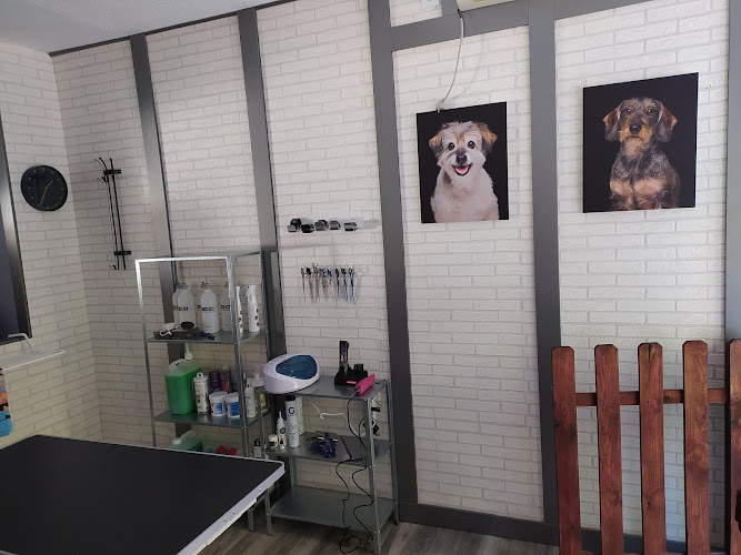 Flepican Peluquería Canina en Madrid