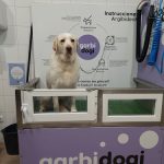 Garbidogi – Peluquería Canina en Vitoria-gasteiz
