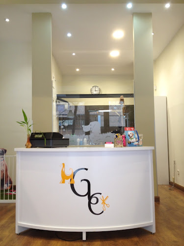 Glamour Canino en Madrid