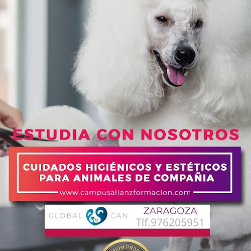 Global Can en Zaragoza