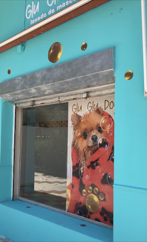 Glugludog en Málaga