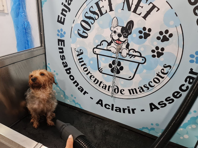 Gosset Net en Tarragona