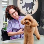 Guau Club – Peluquería Canina en Palma