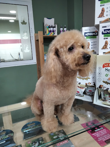 Guau Sedaví!! Peluqueria Canina en Valencia