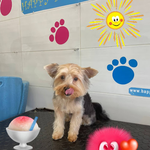 Happy Doggies en Madrid