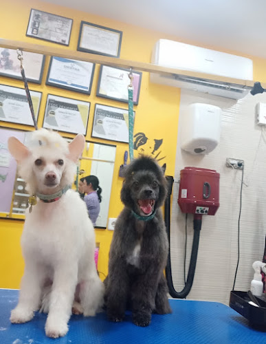 Happy Peluts en Barcelona