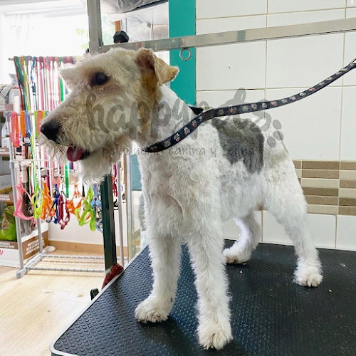 Happy Pets Peluquería Y Estética Canina en Sevilla