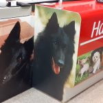 Harrycan – Peluquería Canina en Calahorra