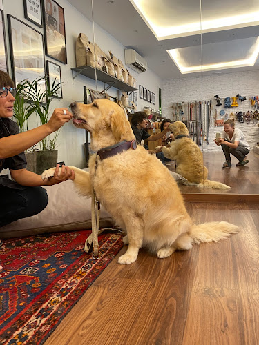 Heminguau en Barcelona