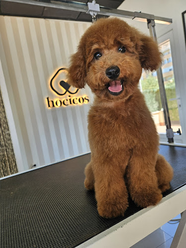 Hocicos | Peluquería Canina En Zaragoza en Zaragoza