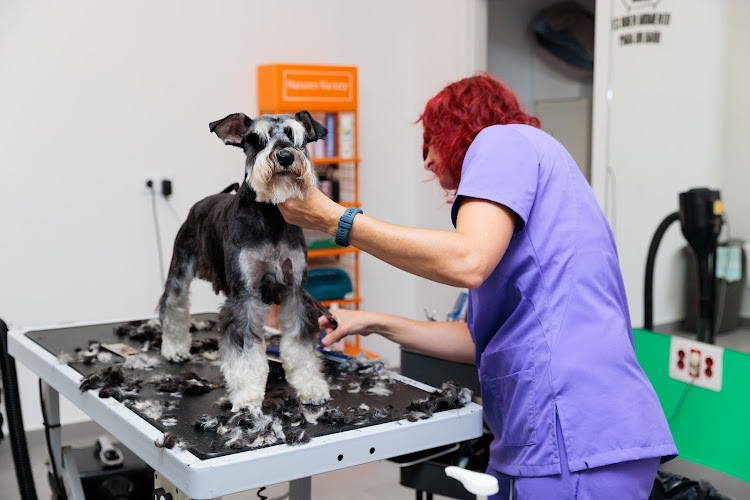 Hospital Veterinario Ciudad De Lugo en Lugo