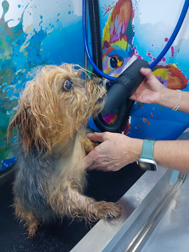 I Love Dog Wash en Málaga