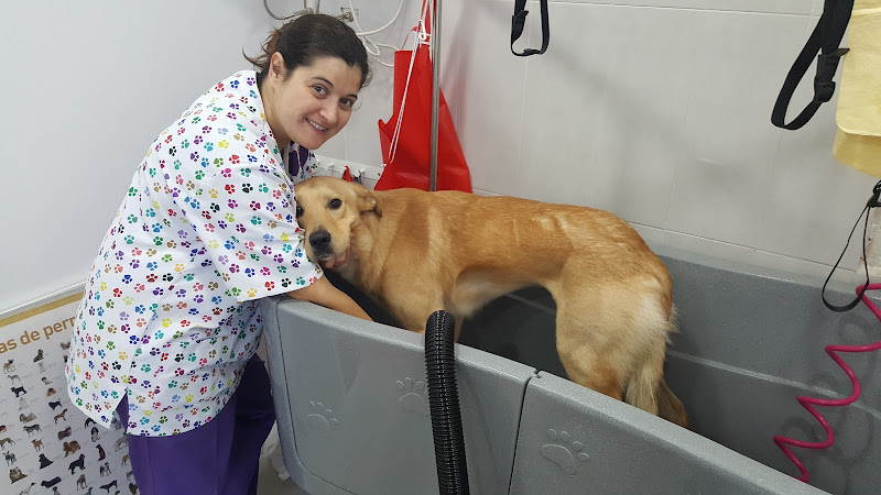 I Love Perros en Teruel