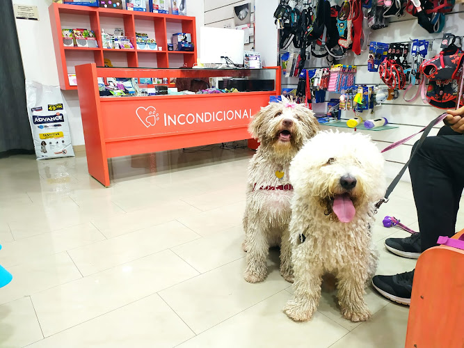 Incondicional Castellón - Peluquería Canina Y Tienda De Artículos Para Mascotas en Castellón