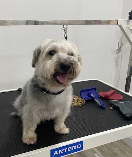 Jana Beauty Salon en Barcelona