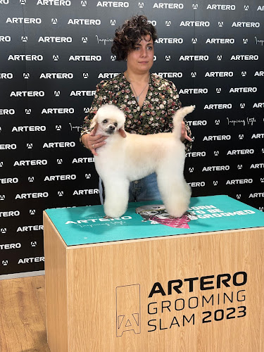 Jr Estilista Canina en Barcelona