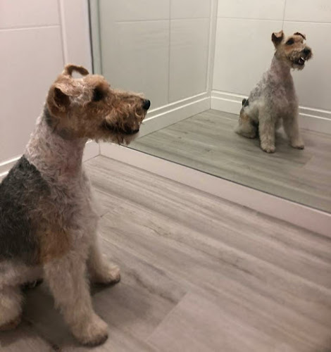 Juethalma en Málaga