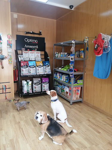 Junglanimal en Sevilla