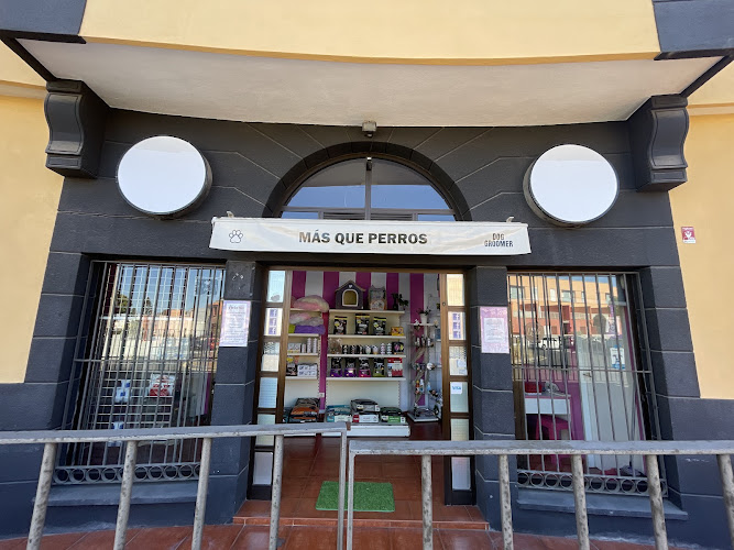 + K Perros en Santa Cruz De Tenerife