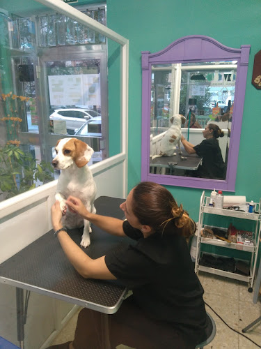 Kalulo Peluquería Canina en Madrid