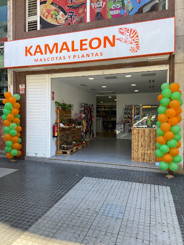 Kamaleon Tienda De Mascotas Y Plantas en Las Palmas