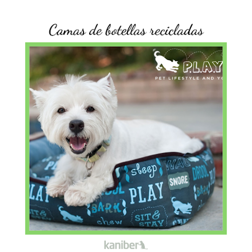 Kaniber Europa en Gipuzkoa