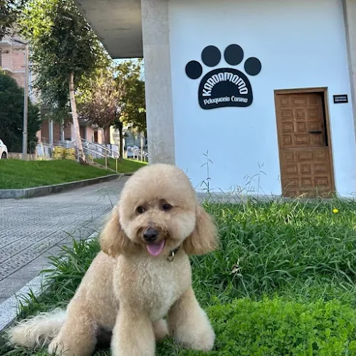 Kardamomo Peluqueria Canina en Biscay