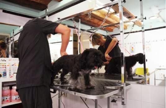 Karibuni Veterinària en Barcelona