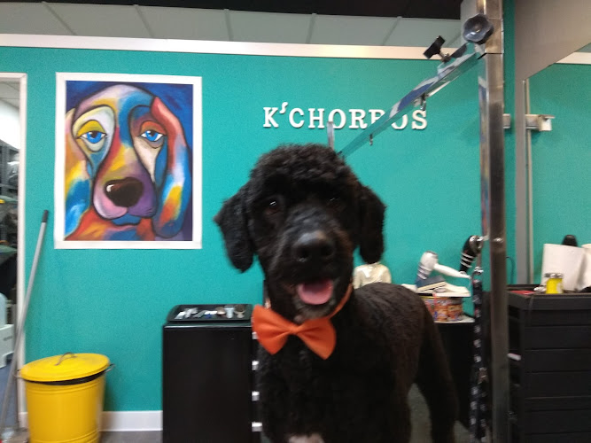 K'chorros Peluquería Canina en Sevilla