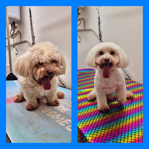 Kelly Style en Barcelona