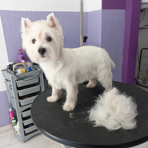 Kenai Peluquería en Madrid