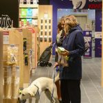 Kiwoko. Mundo Animal – Peluquería Canina en Las Palmas De Gran Canaria