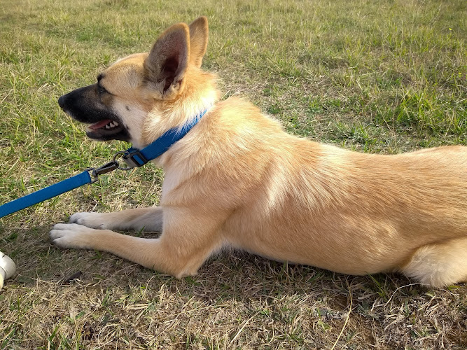 Kiwoko. Mundo Animal en Álava