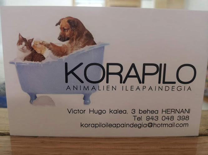 Korapilo Animalien Ileapaindegia en Gipuzkoa