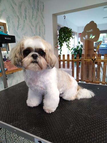 La Bañera De Eva · Peluquería Canina Santander en Cantabria
