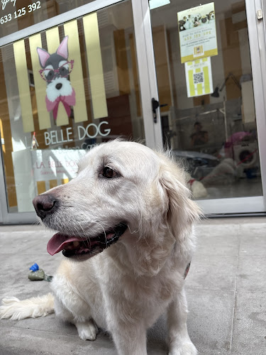 La Belle Dog en Las Palmas