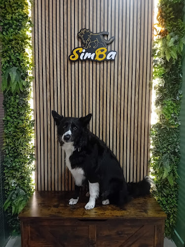 La Boutique De Simba en Cantabria