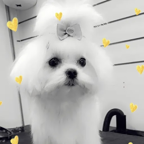 La Boutique De Tu Mascota en Zaragoza