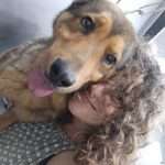 La Casa De La Mascota – Peluquería Canina en Pola De Siero