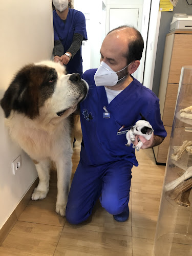 La Clinica De Pablo en Cantabria