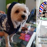 La Manada Animal – Peluquería Canina en La Laguna