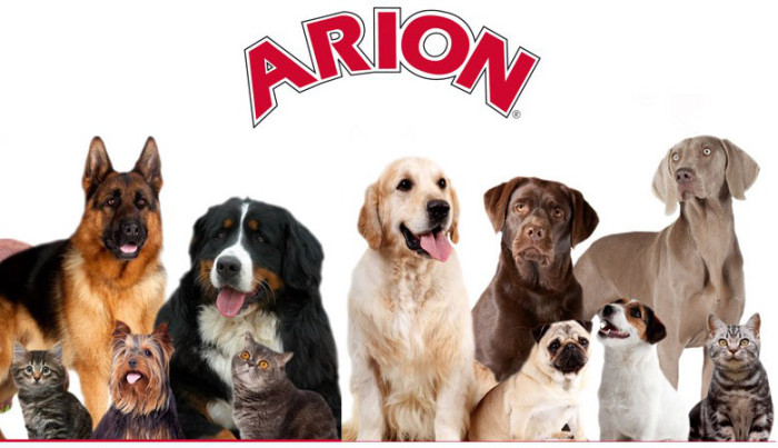 La Mascotería De Charly en Zaragoza