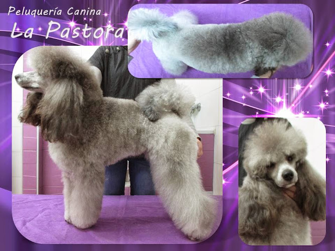 La Pastora en Málaga