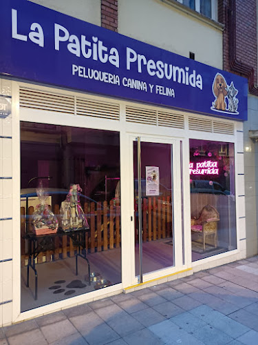 La Patita Presumida en Asturias