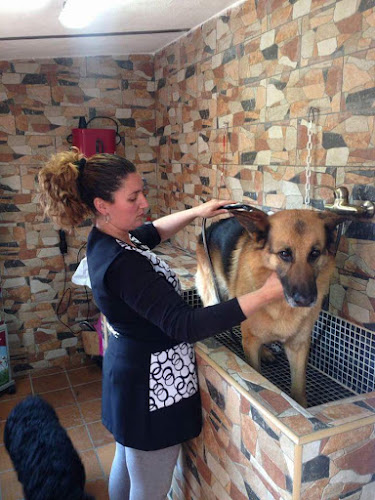 La Pelu De Menta en Granada