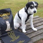La Peluquería Canina – Peluquería Canina en San Vicente De La Barquera