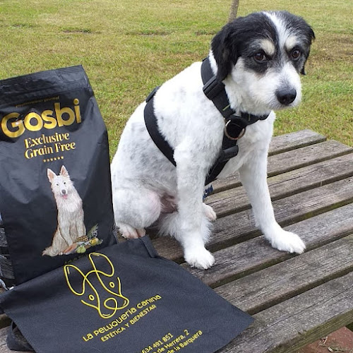 La Peluquería Canina en Cantabria