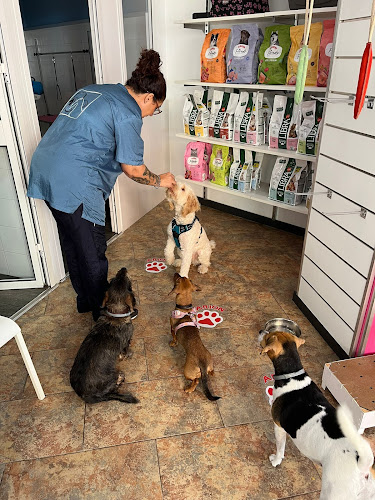 La Perripandi en Sevilla