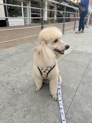 La Perrukería en Álava